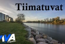 Tiimatuvat