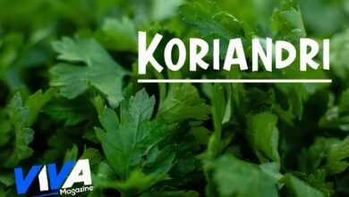 Koriandri