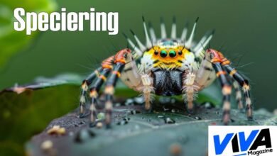 Speciering