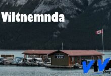 Viltnemnda