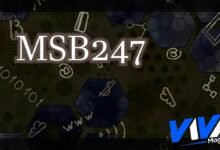 MSB247