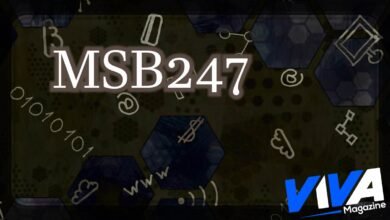 MSB247