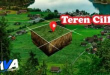 Teren Cill