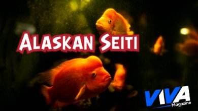 Alaskan Seiti