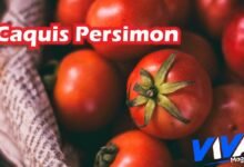 Caquis Persimon
