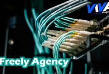 Freely Agency
