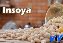 Insoya