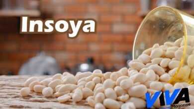 Insoya