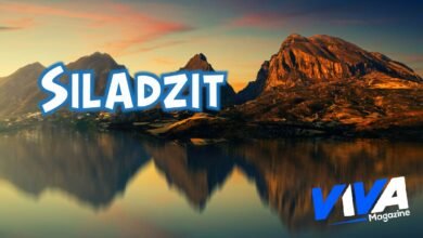 Siladzit