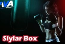 Slylar Box
