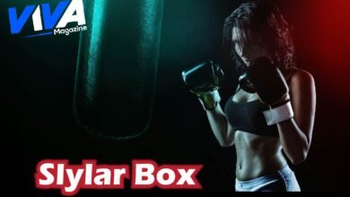 Slylar Box