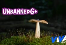 UnbannedG+